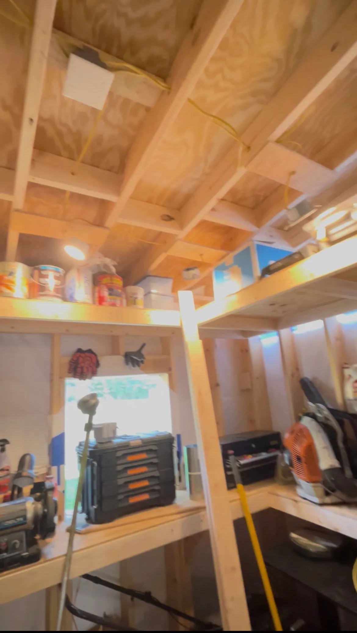 paint holding up the ceiling